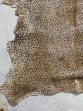 画像4: 牛 ヘアーカーフ　ブラウン　チーター柄　牛革毛付き　毛皮　牛カーフ毛付き (4)
