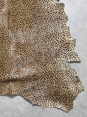 画像5: 牛 ヘアーカーフ　ブラウン　チーター柄　牛革毛付き　毛皮　牛カーフ毛付き (5)