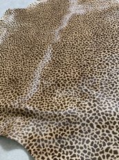 画像6: 牛 ヘアーカーフ　ブラウン　チーター柄　牛革毛付き　毛皮　牛カーフ毛付き (6)