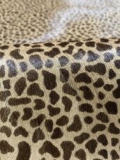 画像7: 牛 ヘアーカーフ　ブラウン　チーター柄　牛革毛付き　毛皮　牛カーフ毛付き (7)