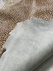 画像8: 牛 ヘアーカーフ　ブラウン　チーター柄　牛革毛付き　毛皮　牛カーフ毛付き (8)