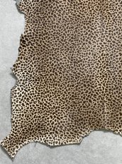 画像4: 牛 ヘアーカーフ　ブラウン　チーター柄　牛革毛付き　毛皮　牛カーフ毛付き (4)