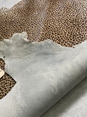 画像8: 牛 ヘアーカーフ　ブラウン　チーター柄　牛革毛付き　毛皮　牛カーフ毛付き (8)