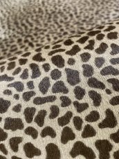 画像7: 牛 ヘアーカーフ　ブラウン　チーター柄　牛革毛付き　毛皮　牛カーフ毛付き (7)