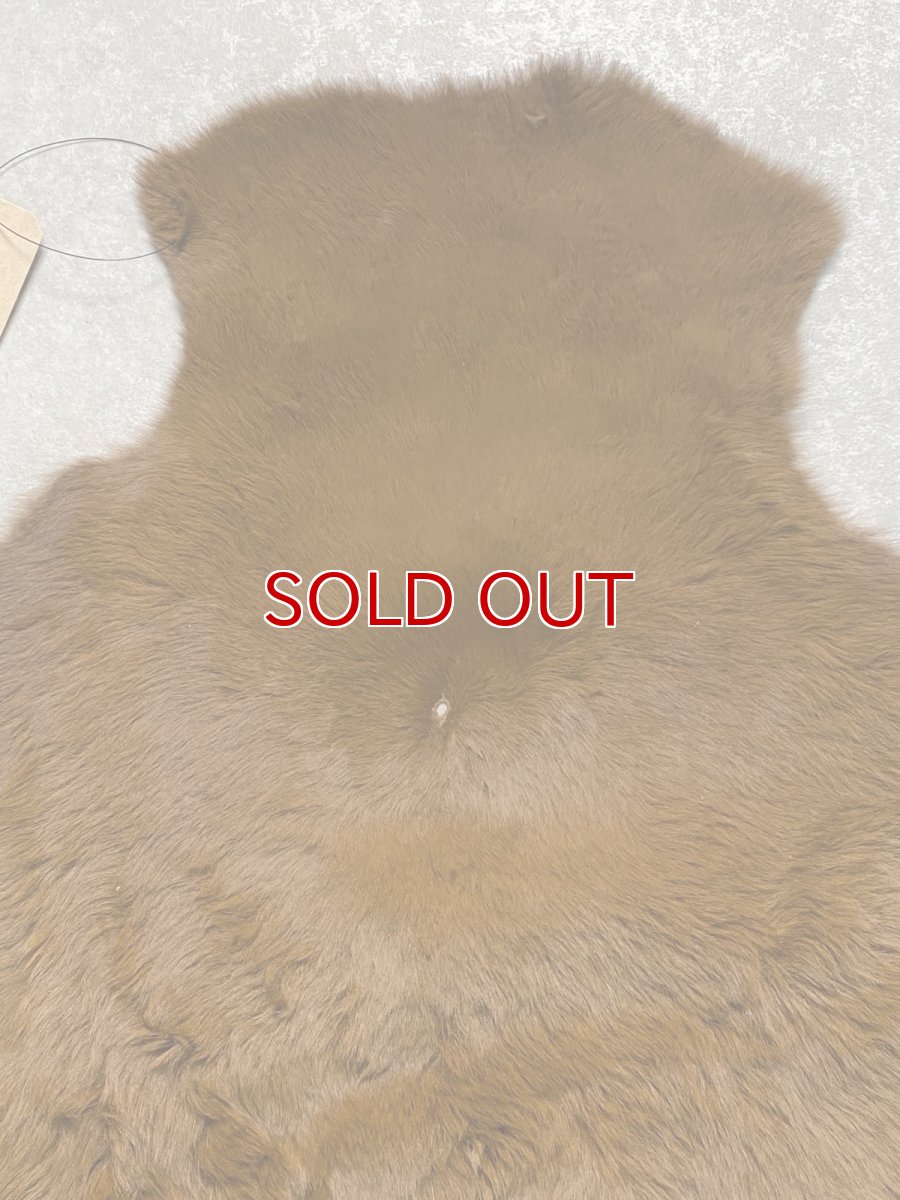 画像2: カンガルー毛皮　カンガルーヘアー　キャメル (2)