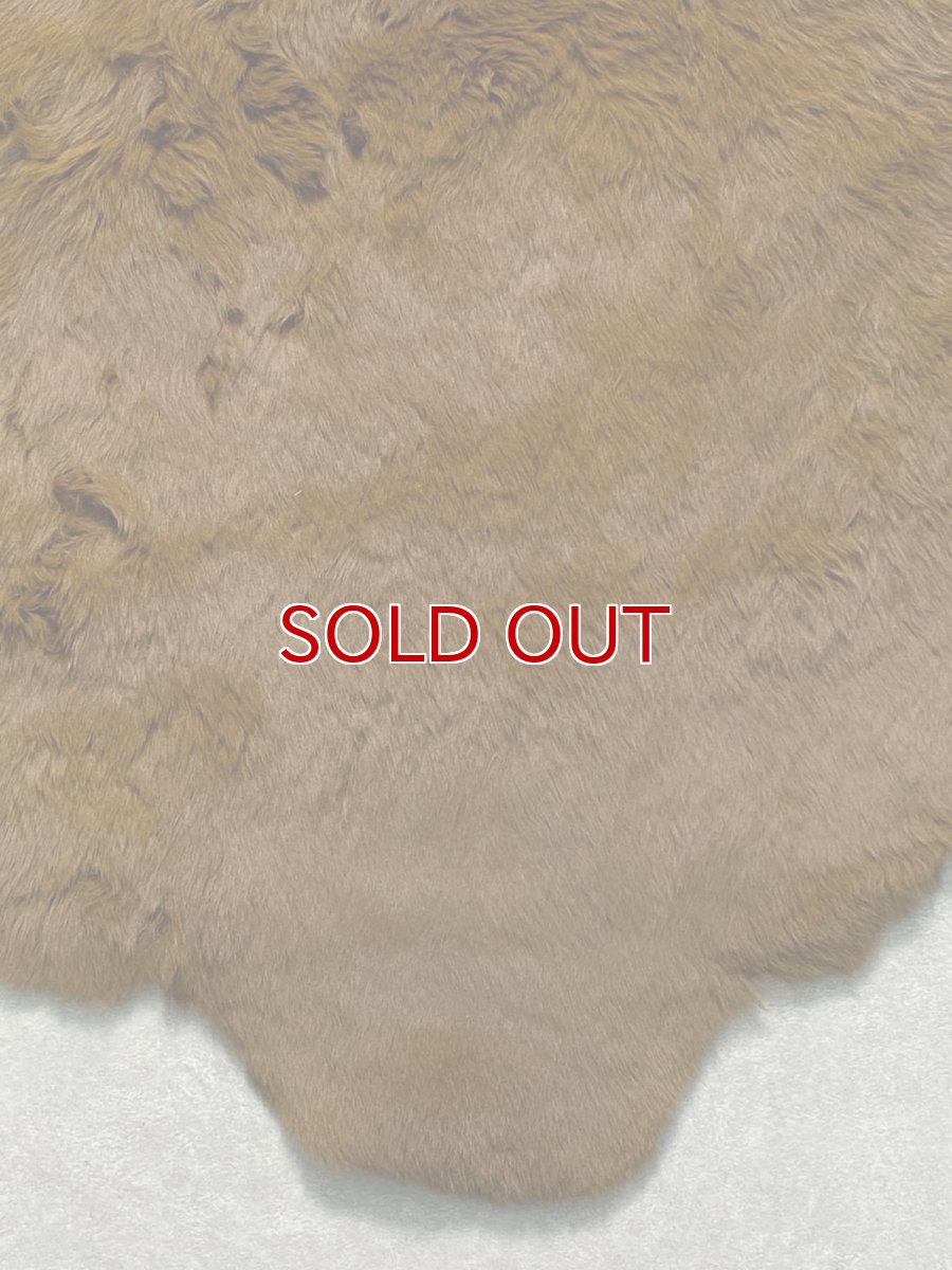 画像4: カンガルー毛皮　カンガルーヘアー　キャメル (4)