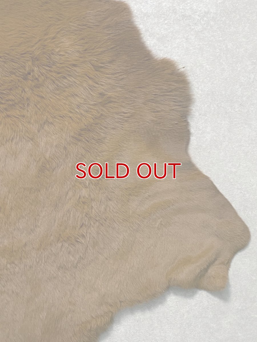 画像5: カンガルー毛皮　カンガルーヘアー　キャメル (5)