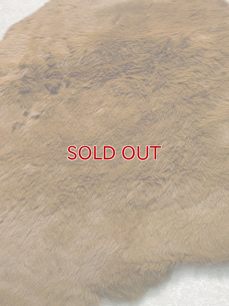 画像6: カンガルー毛皮　カンガルーヘアー　キャメル (6)