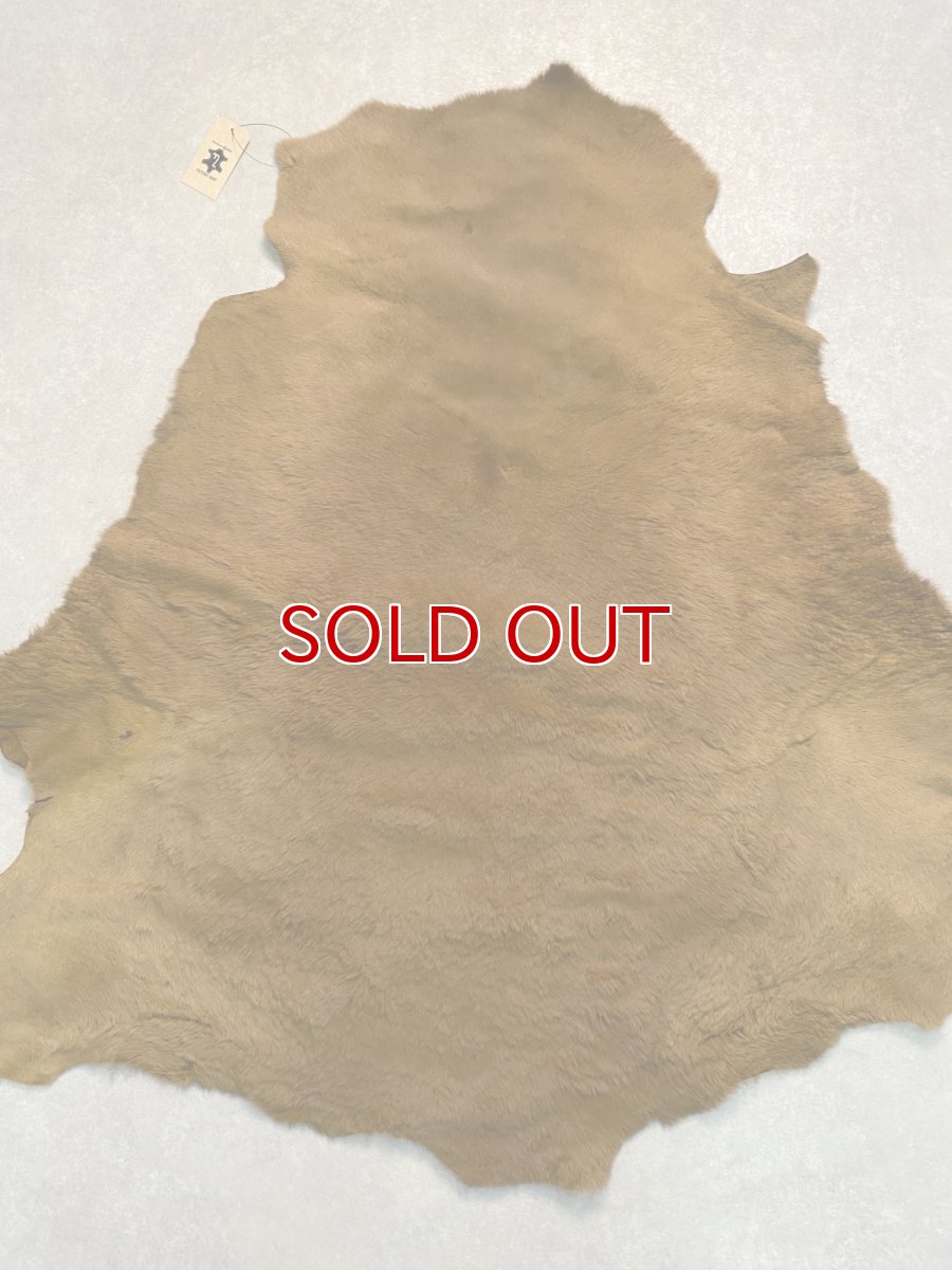 画像1: カンガルー毛皮　カンガルーヘアー　キャメル (1)