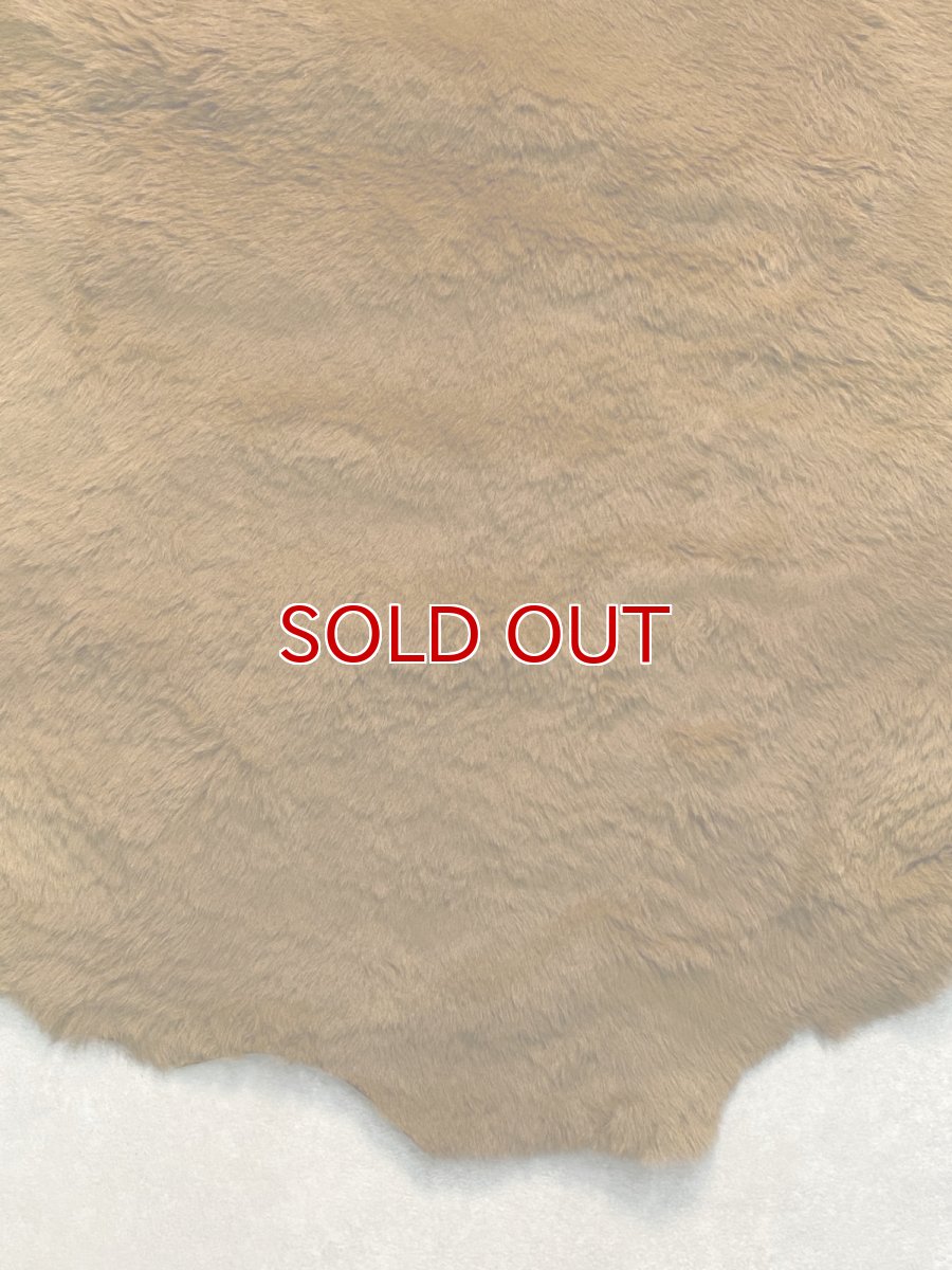 画像8: カンガルー毛皮　カンガルーヘアー　キャメル (8)