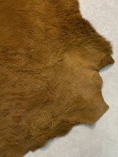 画像10: カンガルー毛皮　カンガルーヘアー　キャメル (10)