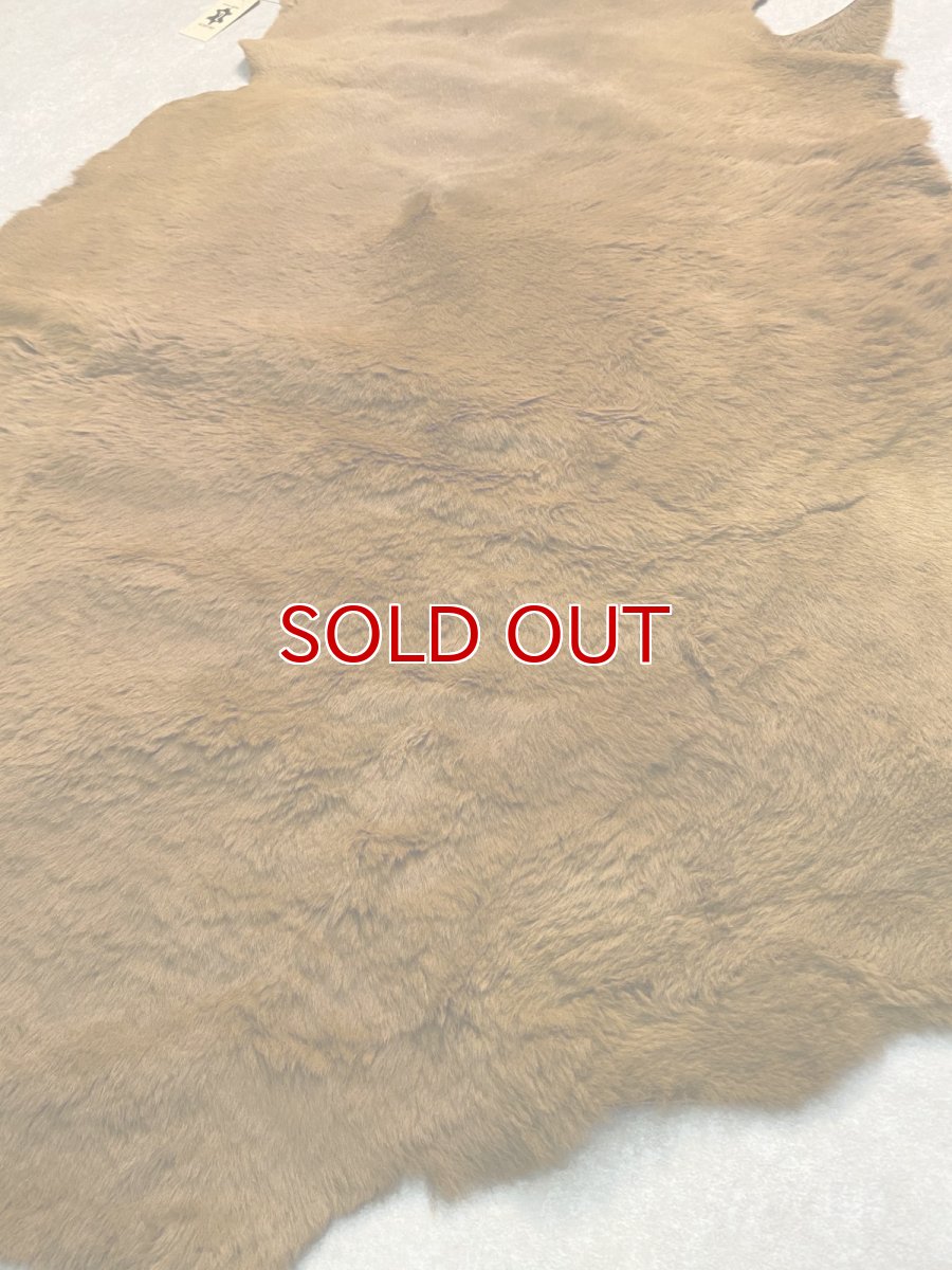 画像7: カンガルー毛皮　カンガルーヘアー　キャメル (7)