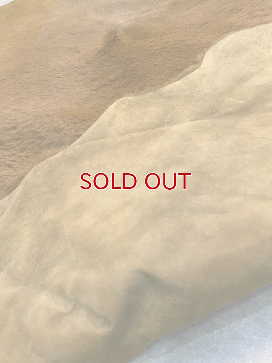 画像6: カンガルー毛皮　カンガルーヘアー　キャメル (6)