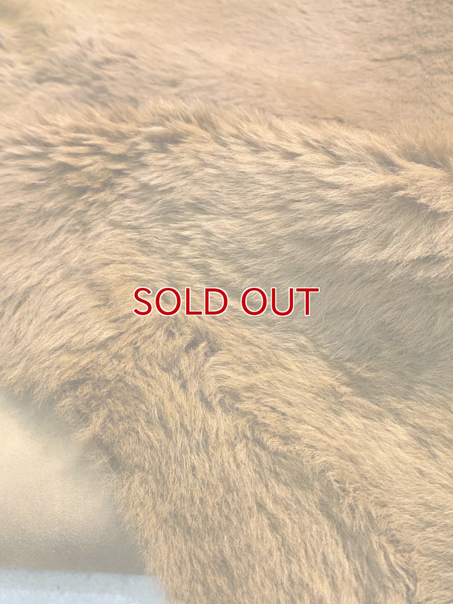 画像5: カンガルー毛皮　カンガルーヘアー　キャメル (5)