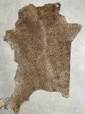 画像1: 牛 ヘアーカーフ　ブラウン　チーター柄　牛革毛付き　毛皮　牛カーフ毛付き (1)