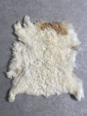 画像1: ラム毛皮　羊毛　ファー　羊毛皮　 (1)