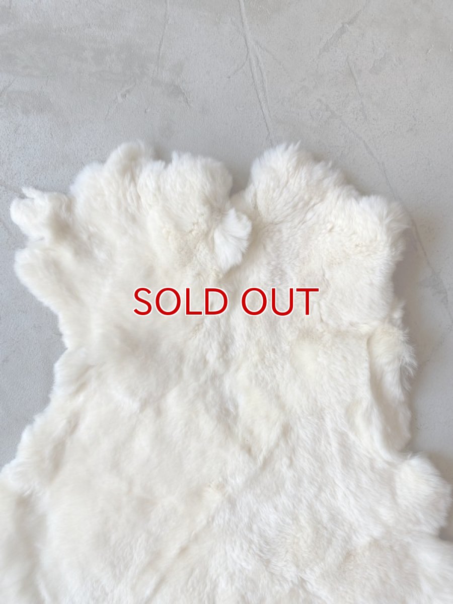 画像3: レッキスラビットファー　クリーム　うさぎ毛皮 (3)