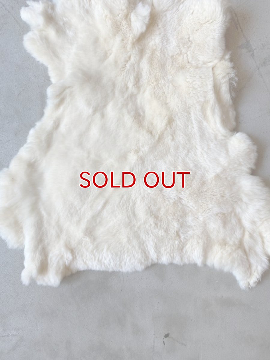 画像4: レッキスラビットファー　クリーム　うさぎ毛皮 (4)