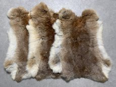 画像2: ラビットファー　キャメルナチュラル　うさぎ毛皮　Lサイズ (2)