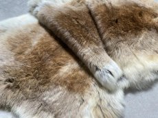 画像7: ラビットファー　キャメルナチュラル　うさぎ毛皮　Lサイズ (7)