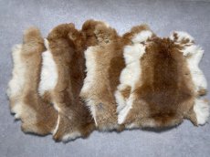 画像2: ラビットファー　ライトキャメル ナチュラル　うさぎ毛皮　Lサイズ (2)