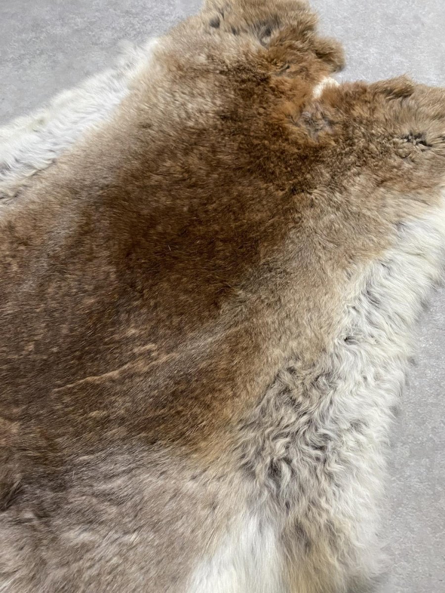 画像4: ラビットファー　キャメルナチュラル ウエーブ　うさぎ毛皮　Lサイズ (4)