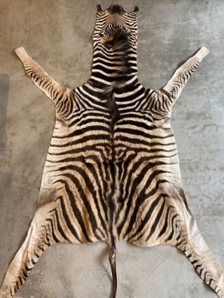 ヘアゼブラ/シマウマ毛皮/しまうま毛皮【革とレザークラフト革細工材料