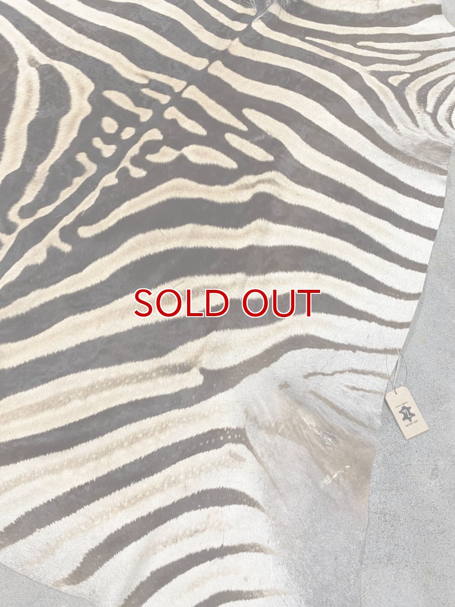 画像4: ゼブラ毛皮　シマウマ革 (4)