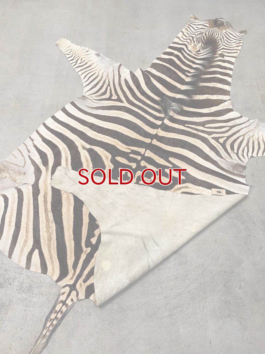 画像8: ゼブラ毛皮　シマウマ革 (8)