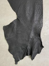 画像5: オーストリッチ革ハギレ　ブラック　ダチョウ革　 (5)