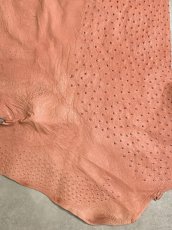 画像4: オーストリッチ革　ベビーピンク　ダチョウ革　 (4)