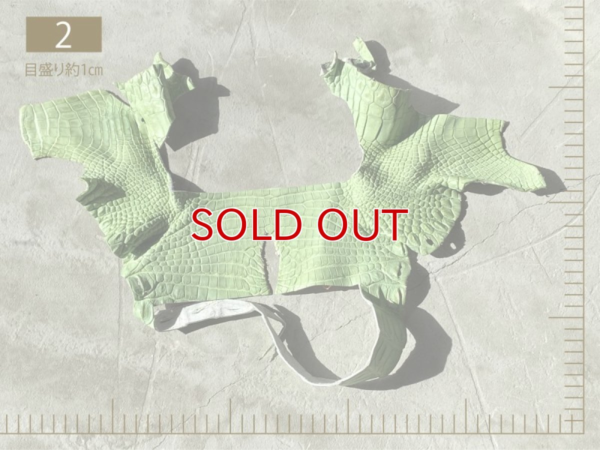 画像3: 【2300円均一】クロコダイル　ハギレ (3)