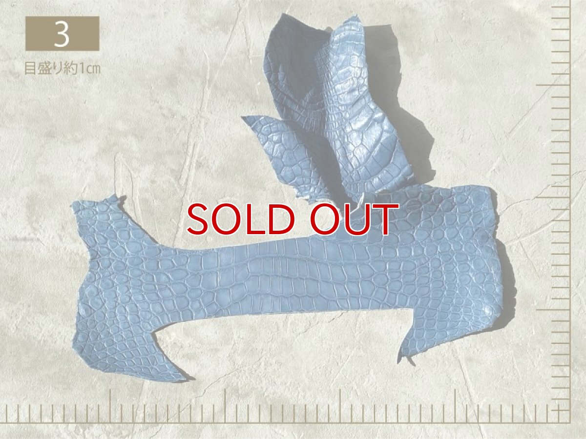 画像4: 【2300円均一】クロコダイル　ハギレ (4)