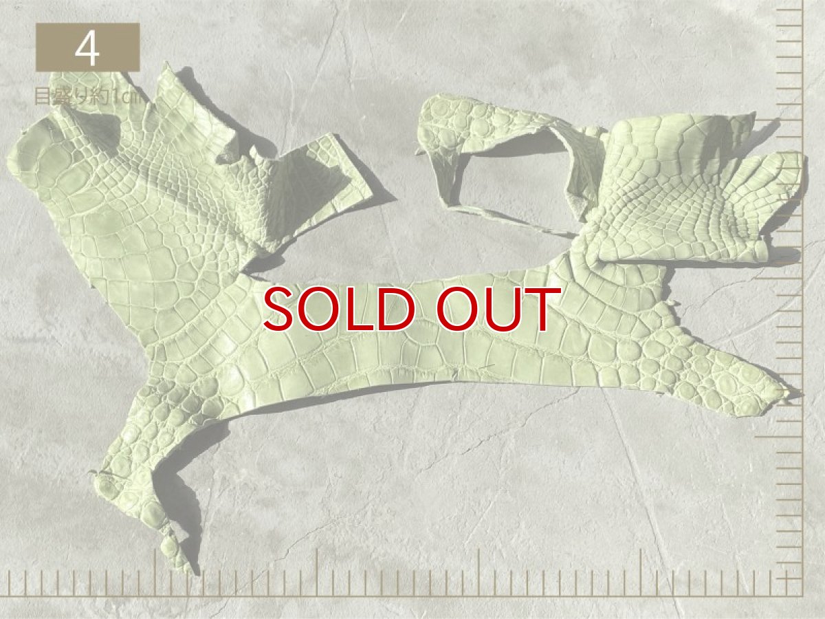画像5: 【2300円均一】クロコダイル　ハギレ (5)