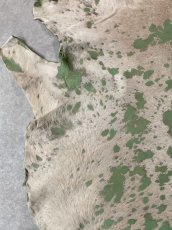 画像5: 牛 マンダラ毛皮　ホワイト×グリーン　牛革毛付き　まだら加工 (5)