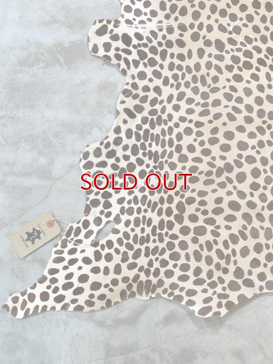 画像7: 牛 ヘアーカーフ　ライトブラウン　ダルメシアン柄　毛皮　牛革　牛カーフ毛付き (7)