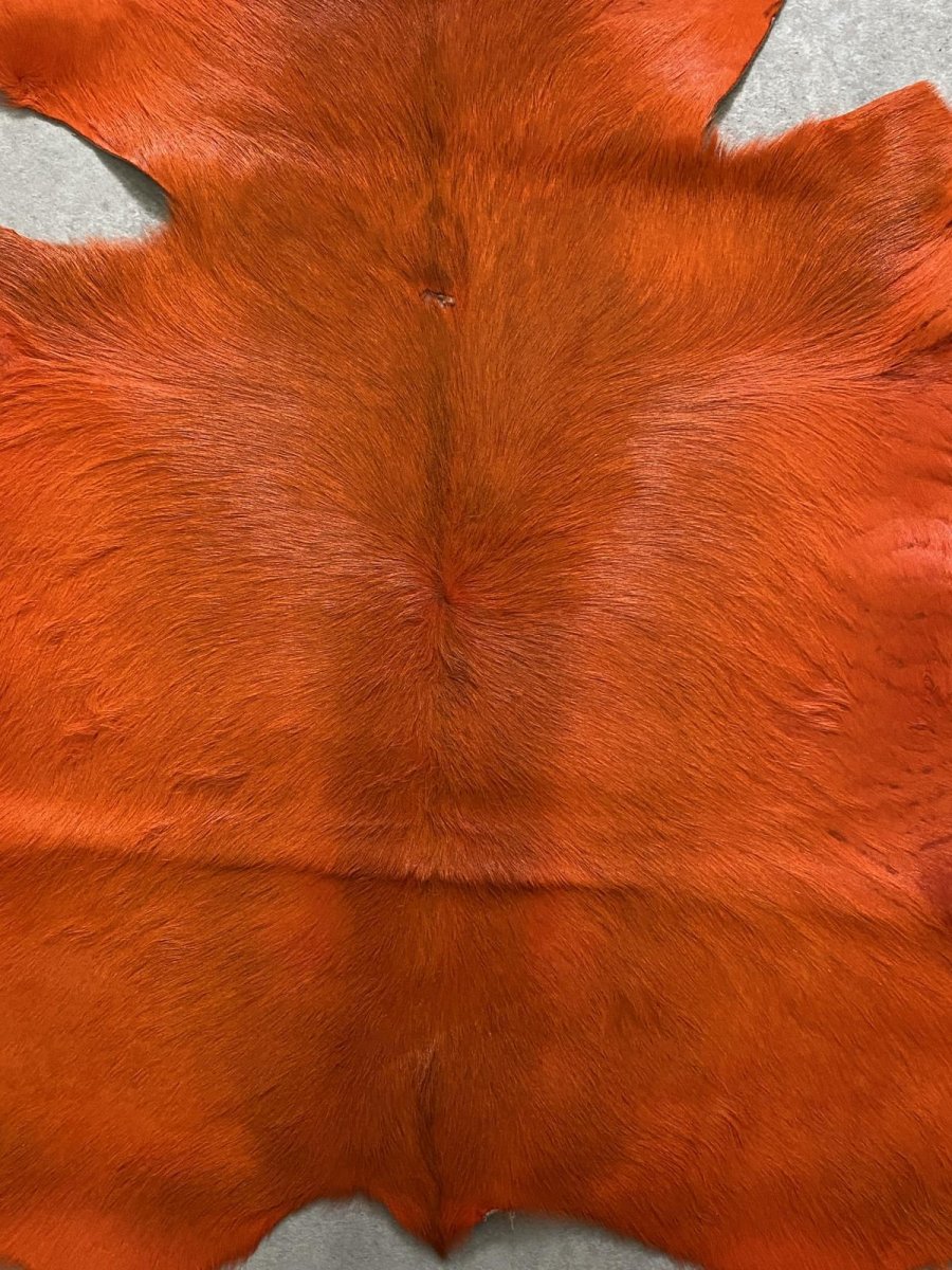 画像5: 牛 ヘアーカーフ　オレンジ　毛皮 (5)