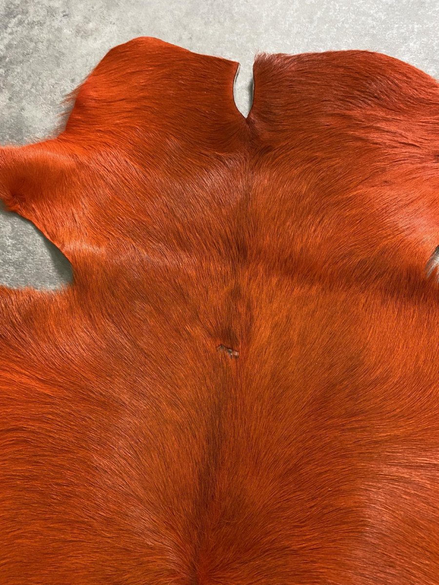 画像4: 牛 ヘアーカーフ　オレンジ　毛皮 (4)