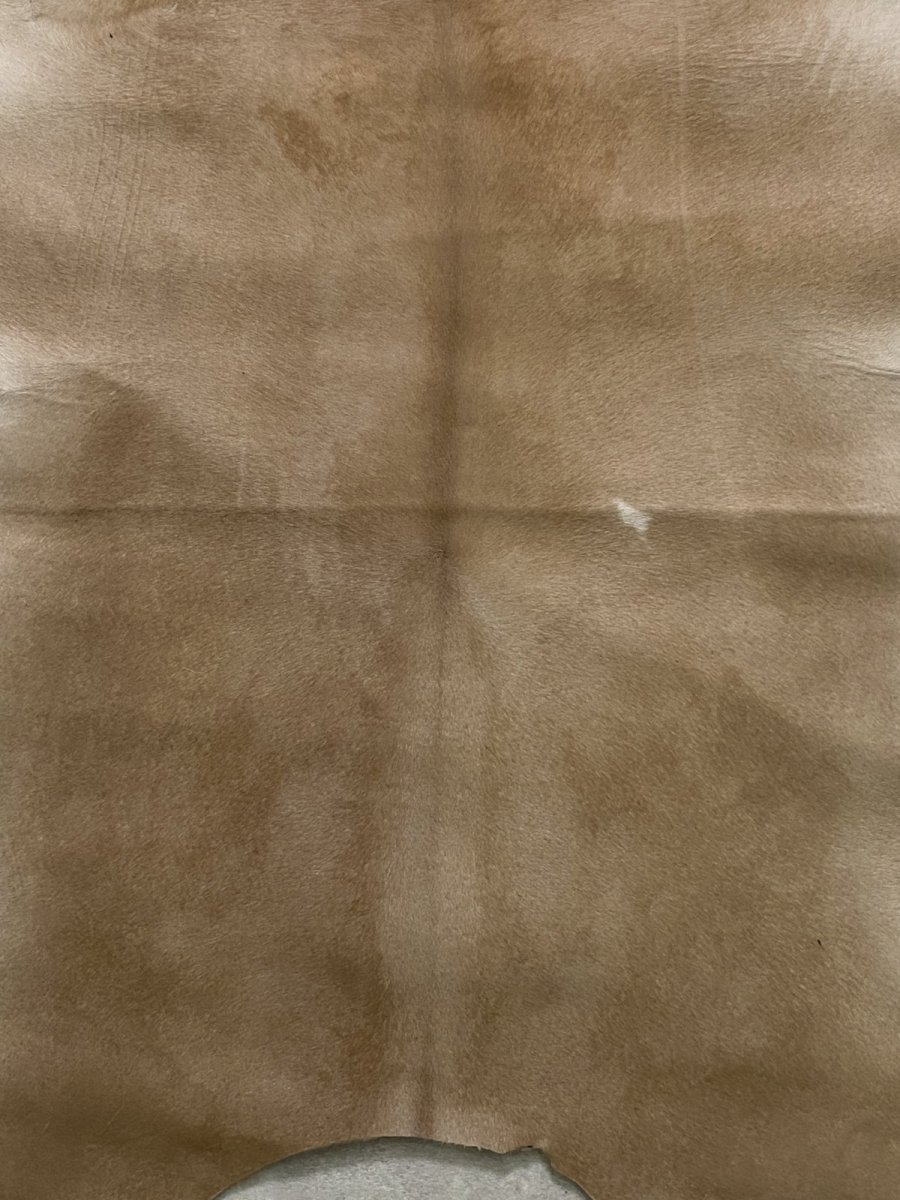 画像5: ヘアーカーフ ベージュ 牛革毛付き 毛皮  (5)