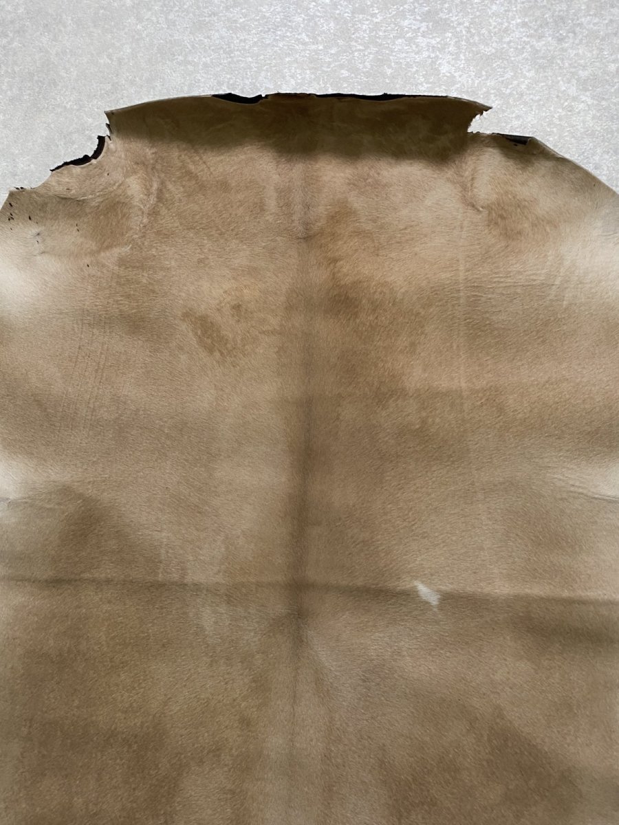 画像6: ヘアーカーフ ベージュ 牛革毛付き 毛皮  (6)