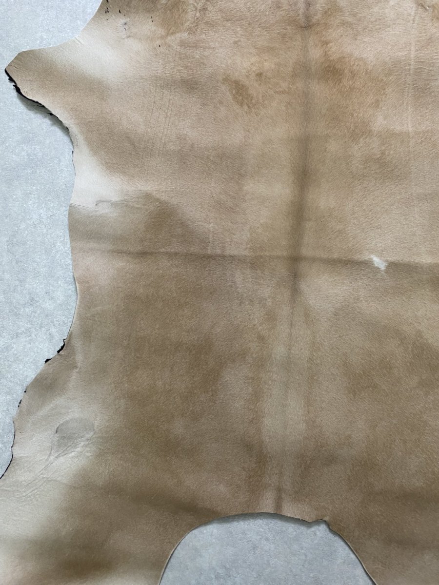画像7: ヘアーカーフ ベージュ 牛革毛付き 毛皮  (7)