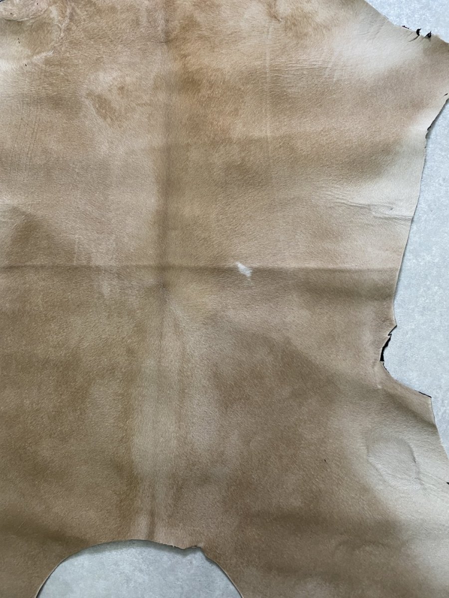画像8: ヘアーカーフ ベージュ 牛革毛付き 毛皮  (8)