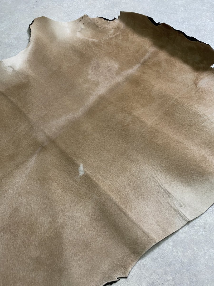 画像4: ヘアーカーフ ベージュ 牛革毛付き 毛皮  (4)