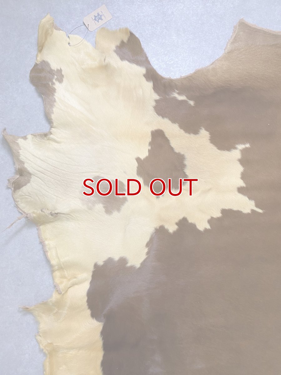 画像6: 牛 ヘアーカウ　柄あり　ベージュ×茶 (6)