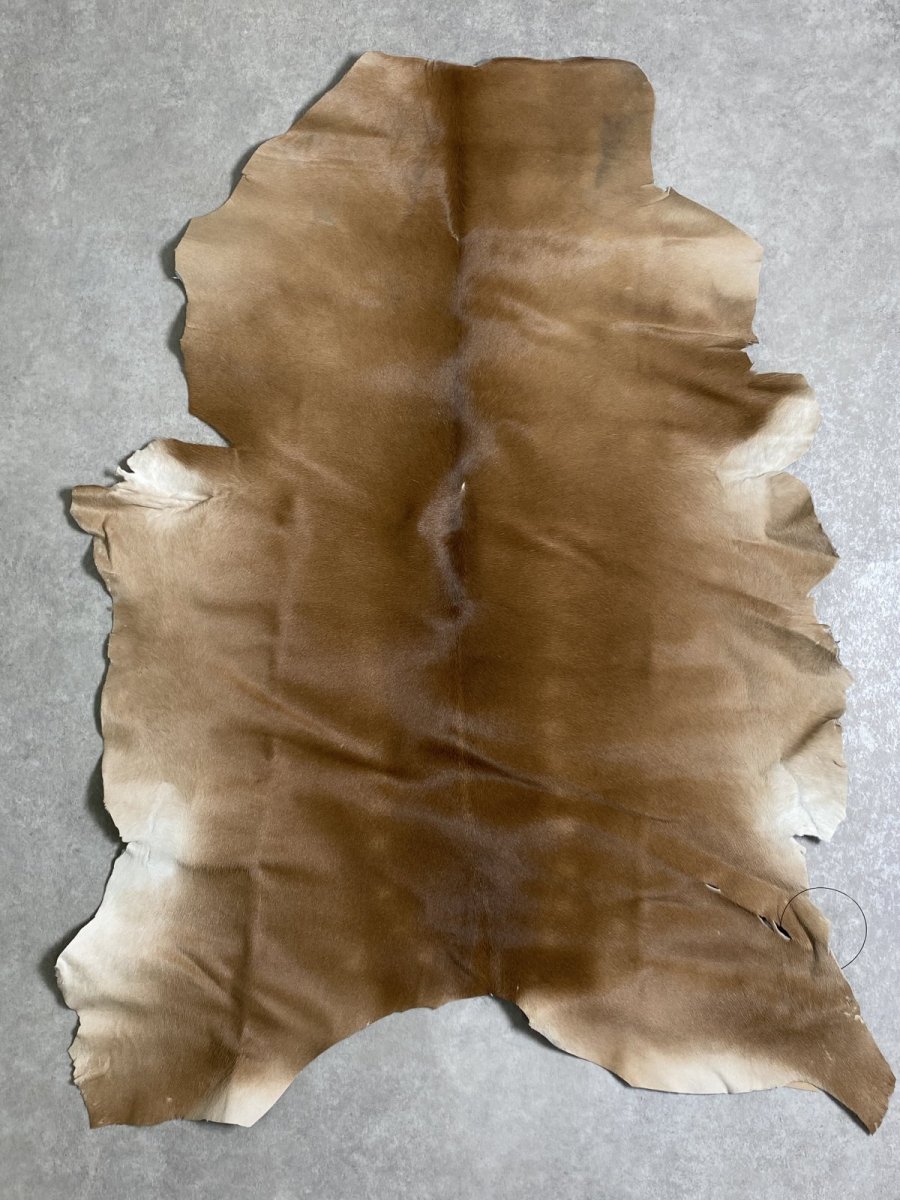 画像1: ヘアーカーフ　ベージュ　牛革毛付き　毛皮　 (1)