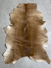 画像1: ヘアーカーフ　ベージュ　牛革毛付き　毛皮　 (1)