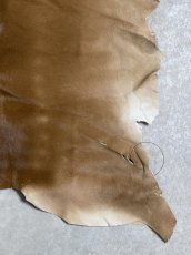 画像5: ヘアーカーフ　ベージュ　牛革毛付き　毛皮　 (5)