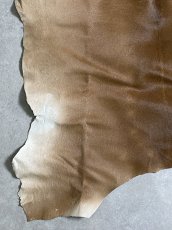 画像4: ヘアーカーフ　ベージュ　牛革毛付き　毛皮　 (4)