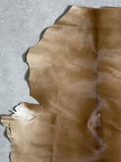 画像2: ヘアーカーフ　ベージュ　牛革毛付き　毛皮　 (2)