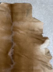 画像3: ヘアーカーフ　ベージュ　牛革毛付き　毛皮　 (3)